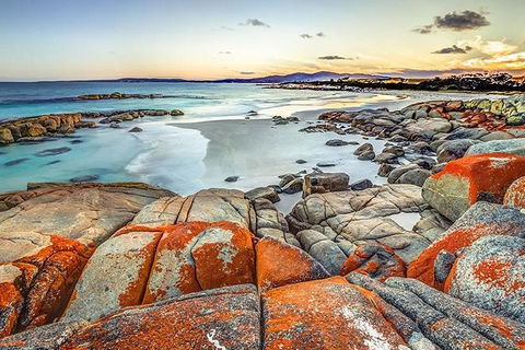 Highlights Of Tasmania Premium Small Group 7 Days Touring Package - Attractions Melbourne 12