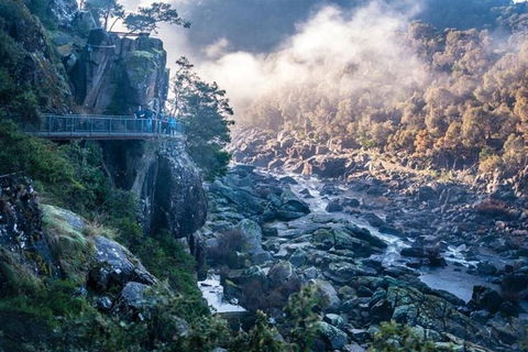 3.5 Hours Walking Tour To Cataract Gorge With Local Guide - Attractions Melbourne 0