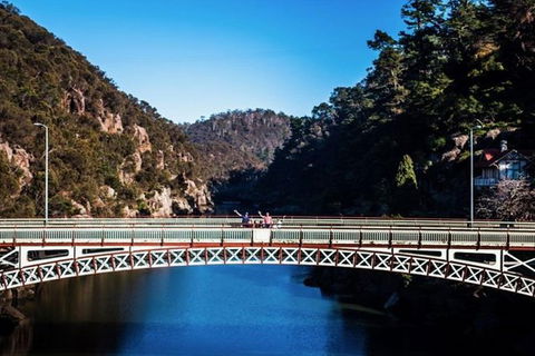 3.5 Hours Walking Tour To Cataract Gorge With Local Guide - Attractions Melbourne 5