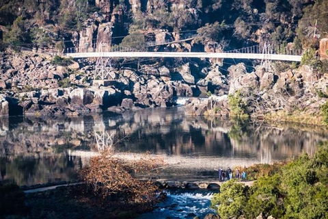 3.5 Hours Walking Tour To Cataract Gorge With Local Guide - Attractions Melbourne 2