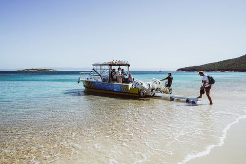 Sea & Explore Wineglass Bay & Freycinet National Park - Cruise & Walk - Attractions Melbourne 3