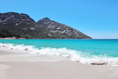 Sea & Explore Wineglass Bay & Freycinet National Park - Cruise & Walk - Attractions Melbourne 4