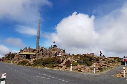 Mt. Wellington Morning Hike + Afternoon Beer & History Walk - Attractions Melbourne 21