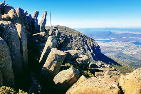 Mt. Wellington Morning Hike + Afternoon Beer & History Walk - Attractions Melbourne 11