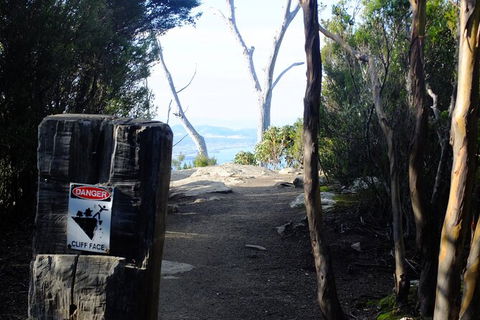 Mt. Wellington Morning Hike + Afternoon Beer & History Walk - Attractions Melbourne 14