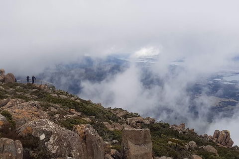 Mt. Wellington Morning Hike + Afternoon Beer & History Walk - Attractions Melbourne 18