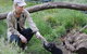 1-Hour Tasmanian Devil Feeding Day Tour At Cradle Mountain - thumb 0