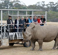 Off-Road Safari at Werribee Open Range Zoo - Attractions Melbourne