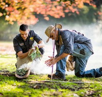 Aboriginal Heritage Walk - Royal Botanic Gardens Victoria Melbourne Gardens - Attractions Melbourne