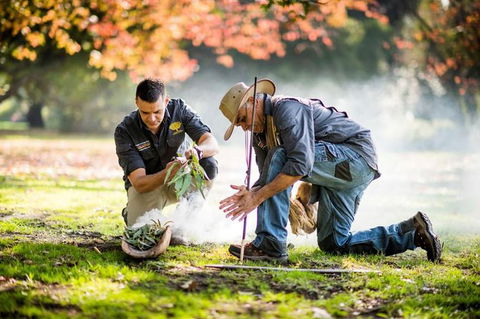 Aboriginal Heritage Walk - Royal Botanic Gardens Victoria, Melbourne Gardens - Attractions Melbourne 0