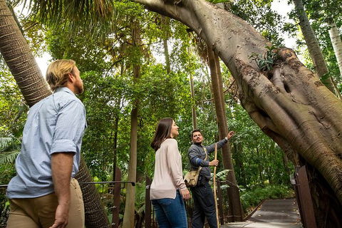 Aboriginal Heritage Walk - Royal Botanic Gardens Victoria, Melbourne Gardens - Attractions Melbourne 1