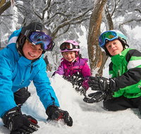 Mt Buller Day Trip Transfers from Melbourne - Attractions Melbourne