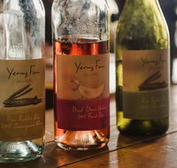 Yarra Valley wine bubbles and gin tour - Attractions Melbourne