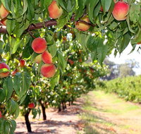 Yarra Valley Farmgate Tours - Attractions Melbourne