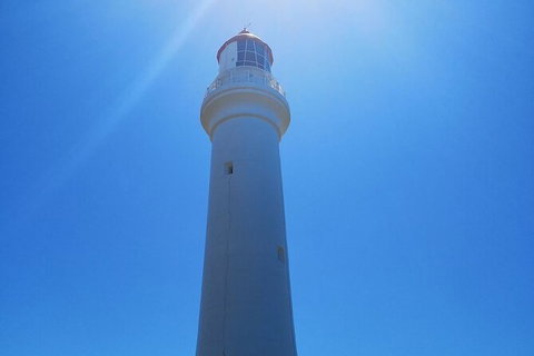 Split Point Lighthouse Tours - Attractions Melbourne 5