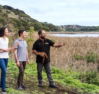 Great Ocean Road and Otway Discovery 2 Day Tour - Attractions Melbourne