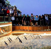 Great Ocean Road  Phillip Island - 3 Days 2 Nights - Attractions Melbourne