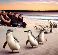Private Tour Penguin Parade Phillip Island Tour. - Attractions Melbourne
