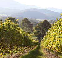 Pizzini Wines Old World Flavours New Vintage Wine Tasting and Grazing Platter - Attractions Melbourne