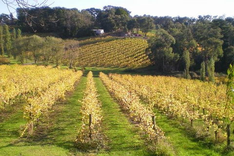 Macedon Ranges Winery Tour From Melbourne - Attractions Melbourne 1