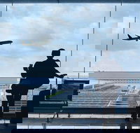 Private Transfer Avalon International Airport AVV to Melbourne - Attractions Melbourne