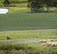 Fowles Wine Heritage Farm Tour with Wine Tasting and Lunch - Attractions Melbourne