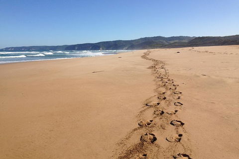 3 Day Private Tour Of Phillip Island, Great Ocean Road & Mornington Peninsula - Attractions Melbourne 1