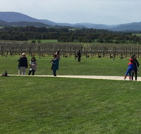 Yarra Valley Wine Tasting Tour - Attractions Melbourne