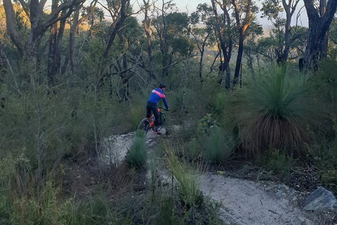 Mountain Bike Day Tour, 2 Locations, 4 Hrs Riding, Holgate\'s Brewery Lunch - Attractions Melbourne 3
