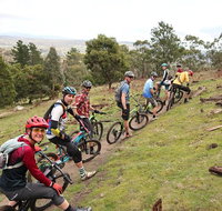 Mountain Bike Day Tour 2 locations 4 hrs riding Holgate's Brewery lunch - Attractions Melbourne