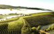 [PRIVATE TOUR] Mount Dandenong And Yarra Valley Winery Tour - thumb 0