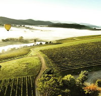 PRIVATE TOUR Mount Dandenong and Yarra Valley Winery Tour - Attractions Melbourne