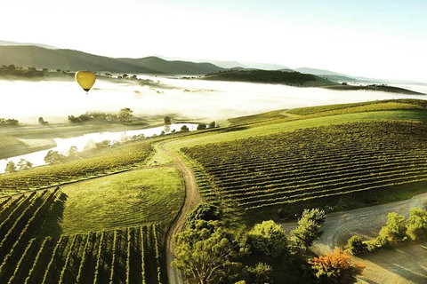[PRIVATE TOUR] Mount Dandenong And Yarra Valley Winery Tour - Attractions Melbourne 0