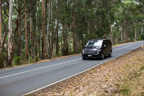 Great Ocean Road, Mornington Peninsula And Phillip Island Tour - (2 Day/1 Night) - Attractions Melbourne 6