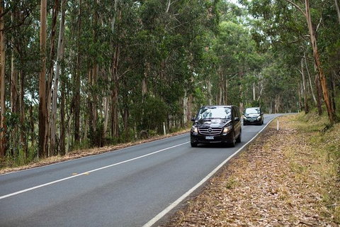Melbourne To Adelaide Via Great Ocean Road Private Luxury Tour (2.5 Day/2 Night) - Attractions Melbourne 2