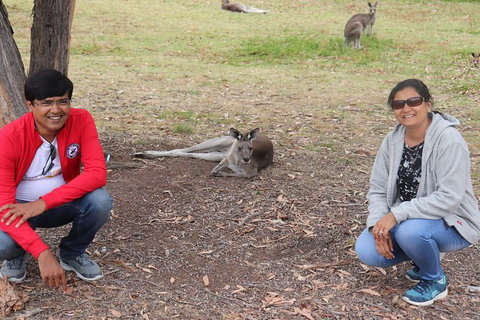 Melbourne To Adelaide Via Great Ocean Road Private Luxury Tour (2.5 Day/2 Night) - Attractions Melbourne 11