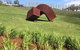 \'56 Chevrolet 6-Hour Yarra Valley Indulgence Classic Car Private Tour (4 Person) - thumb 2