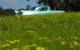 \'56 Chevrolet 6-Hour Yarra Valley Indulgence Classic Car Private Tour (4 Person) - thumb 5