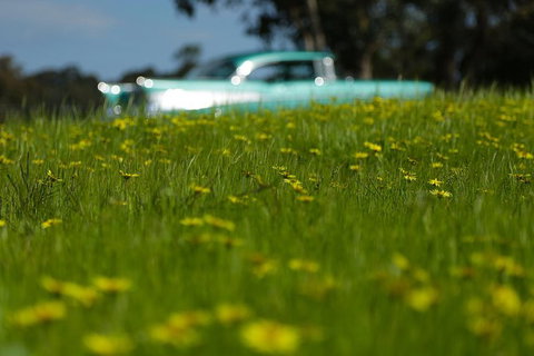 \'56 Chevrolet 6-Hour Yarra Valley Indulgence Classic Car Private Tour (4 Person) - Attractions Melbourne 5