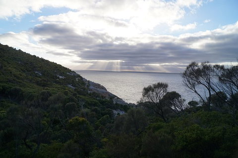 Private Wilsons Promontory Tour (price Is Per Group) - Attractions Melbourne 8