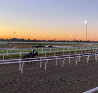 Guided Tour Racehorse Workouts Starblue Tour Discovery - Attractions Melbourne