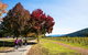 2-Night Murray To Mountain Trail Bike Tour From Beechworth - thumb 6