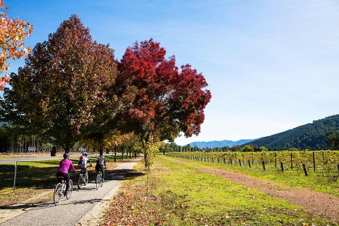 2-Night Murray To Mountain Trail Bike Tour From Beechworth - Attractions Melbourne 6