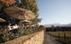 2-Night Murray To Mountain Trail Bike Tour From Beechworth - thumb 4