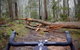 Not So Flat Stanley - Half Day Beechworth Gravel Cycling Tour - thumb 7