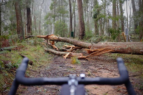 Not So Flat Stanley - Half Day Beechworth Gravel Cycling Tour - Attractions Melbourne 7