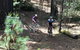 Not So Flat Stanley - Half Day Beechworth Gravel Cycling Tour - thumb 2