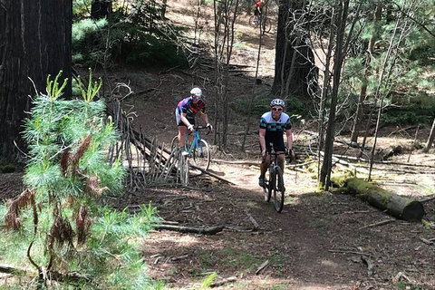 Not So Flat Stanley - Half Day Beechworth Gravel Cycling Tour - Attractions Melbourne 2