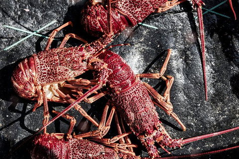 The Ultimate Great Ocean Road Fishing & 12 Apostles Experience - 2.5 Days - Attractions Melbourne 5