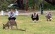 The Ultimate Great Ocean Road Fishing & 12 Apostles Experience - 2.5 Days - thumb 6
